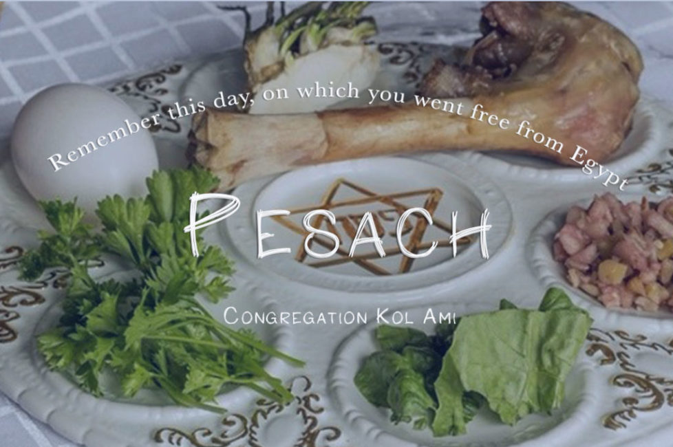 pesach graphic