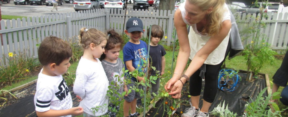 Kol Ami Early Childhood Program Gardening